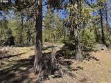  Horned Owl Ln - Photo 6
