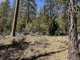  Horned Owl Ln - Photo 7