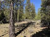  Horned Owl Ln - Photo 8