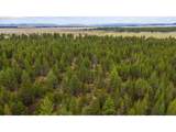  Bare Land - Photo 16