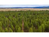  Bare Land - Photo 17