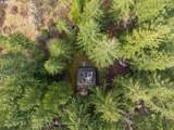 40440 Big Fall Creek Rd - Photo 33