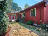 1612 Habitat Ln - Photo 39