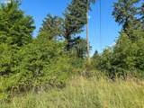  Row River Rd - Photo 3