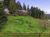 0 Spencer Creek Rd - Photo 19