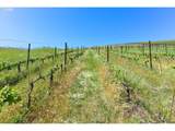 5073 Chenoweth Rd - Photo 28