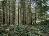 2 Loowit Ln - Photo 18