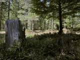 2 Loowit Ln - Photo 19