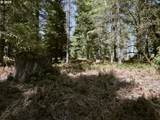 2 Loowit Ln - Photo 20