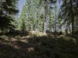 2 Loowit Ln - Photo 23