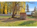 237 Bonanza St - Photo 36