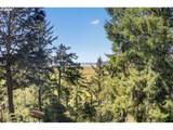 34775 Bayloop Rd - Photo 8