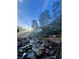 31640 Spruce Dr - Photo 44