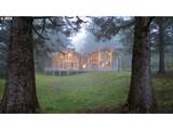 31640 Spruce Dr - Photo 47