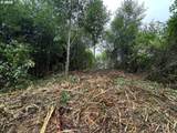 0 Bear Rd - Photo 3