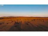 81127 Rail Hollow Rd - Photo 10