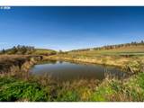 81127 Rail Hollow Rd - Photo 11