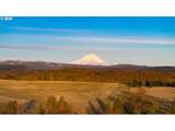 81127 Rail Hollow Rd - Photo 2