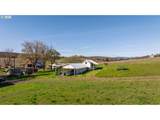 81127 Rail Hollow Rd - Photo 33