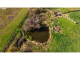 81127 Rail Hollow Rd - Photo 42