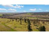 81127 Rail Hollow Rd - Photo 44