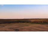 81127 Rail Hollow Rd - Photo 46
