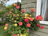 2620 65TH Ave - Photo 46