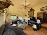 65748 Meissner Rd - Photo 2