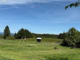 65748 Meissner Rd - Photo 27
