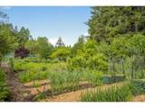 10623 Fox Farm Rd - Photo 36
