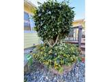 16465 Stitt Ln - Photo 40