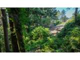 415 Chilkoot Trl - Photo 4