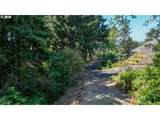 415 Chilkoot Trl - Photo 5