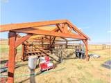 64463 Wolf Creek Ln - Photo 43
