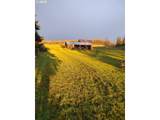 24088 Highway 18 - Photo 42