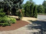 3929 Pringle Rd - Photo 2