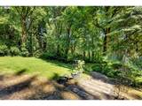 34133 Winterbrook Way - Photo 43