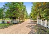 24312 Cardwell Hill Dr - Photo 34