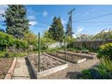 196 Hayden Bridge Way - Photo 35