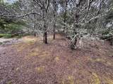  Lot 17 Shoreline Dr. - Photo 10