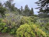  Lot 17 Shoreline Dr. - Photo 11