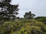  Lot 17 Shoreline Dr. - Photo 13