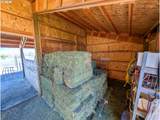 69478 Haefer Ln - Photo 10