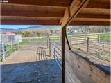 69478 Haefer Ln - Photo 12
