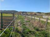 69478 Haefer Ln - Photo 16