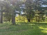 25647 Jeans Rd - Photo 31