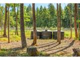 120 Cricket Ln - Photo 46