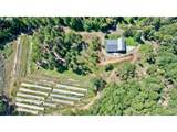 120 Cricket Ln - Photo 47