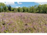 75160 Lost Creek Rd - Photo 11