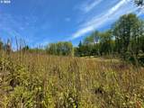 75160 Lost Creek Rd - Photo 14